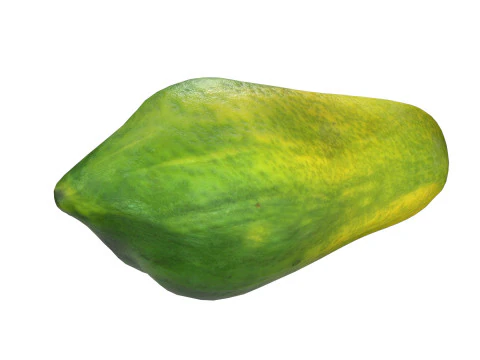 Papaya Fruit Half and full 3D Model