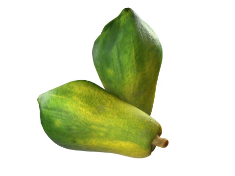Papaya Fruit Half and full 3D Model