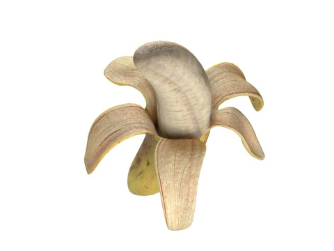 Peeled Banana 3D Model