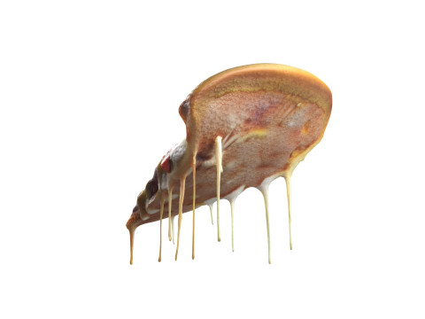 Pizza slice 3 Modelo 3D