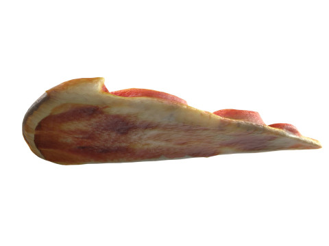 Pizza slice 7 Modelo 3D