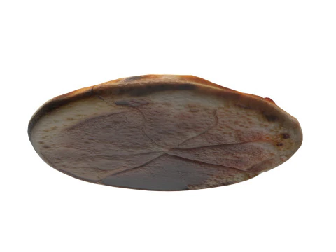 Піца 18 3D Модель