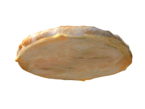 Pizza 19 Modelo 3D