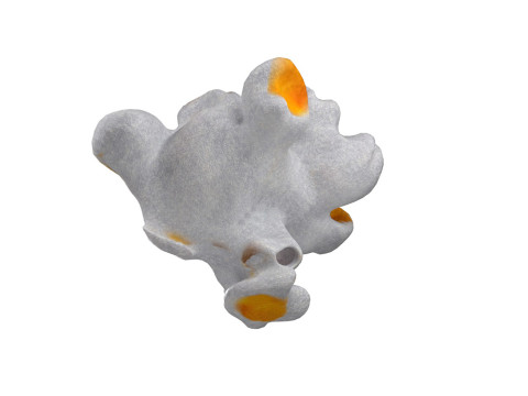 Popcorn 1 Modèle 3D