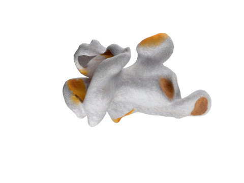 Popcorn 1 Modelo 3D