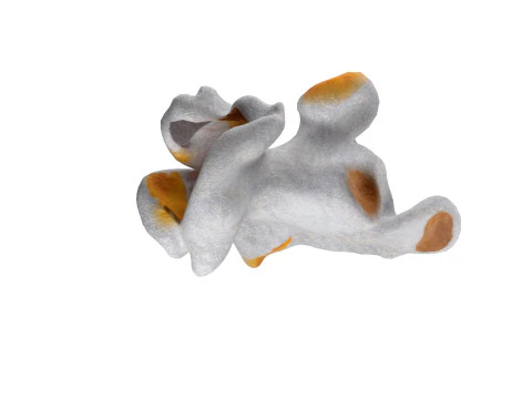 Pipoca 1 Modelo 3D