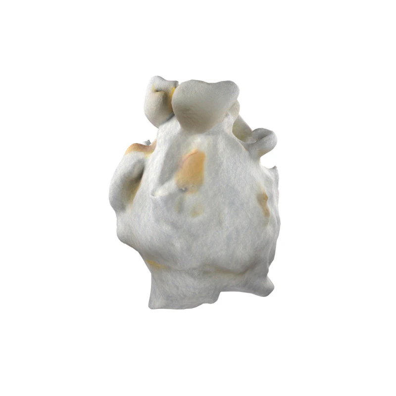 Pipoca 2 Modelo 3D .c4d .max .obj .3ds .fbx .stl .blend