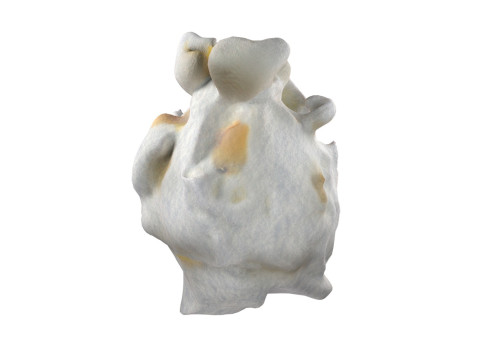 Popcorn 2 Modèle 3D