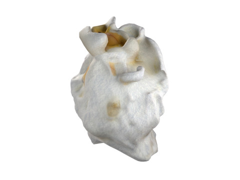Popcorn 2 3D Model
