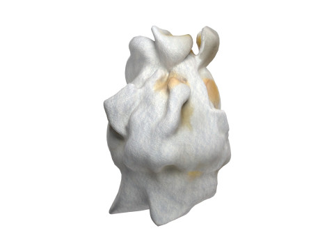 Popcorn 2 3D Model