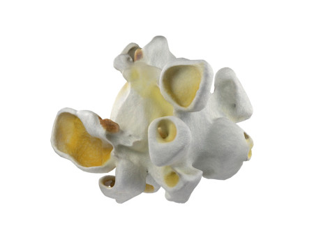 Popcorn 3 Modèle 3D