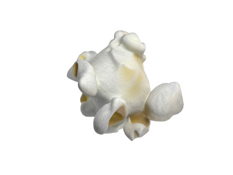 Popcorn 3 3D Model