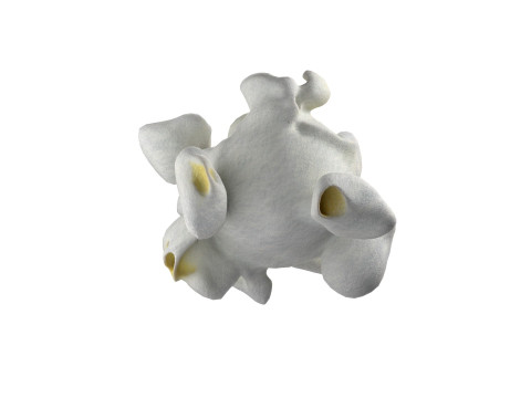 Popcorn 3 3D Model
