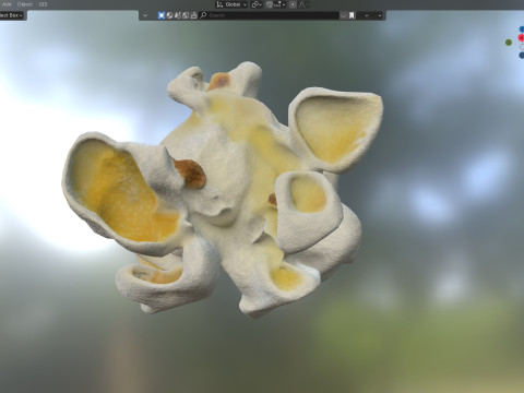 Popcorn 3 3D Model