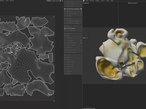 Popcorn 3 3D Model