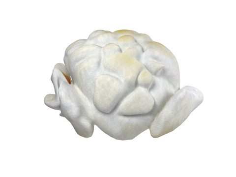 Popcorn 4 Modelo 3D