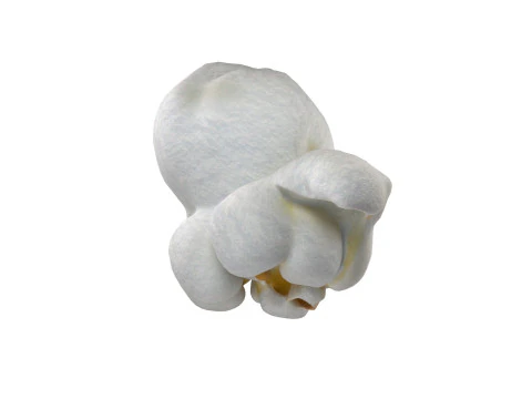 Попкорн 5 3D Модель