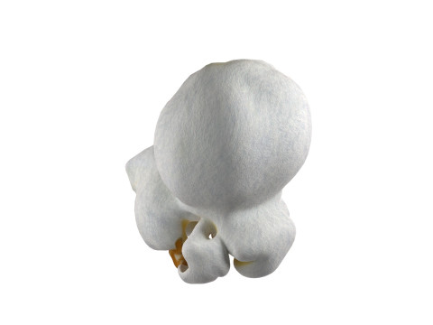 Popcorn 5 Modelo 3D