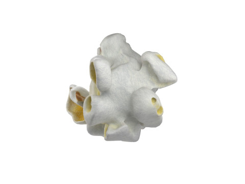 Popcorn collection Modèle 3D