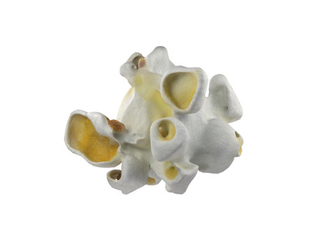Popcorn collection Modèle 3D