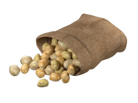 Potato sack 3D Model
