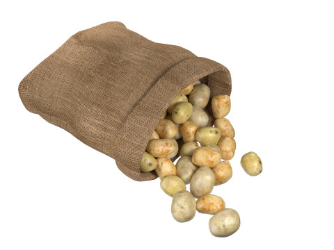 Potato sack Modelo 3D