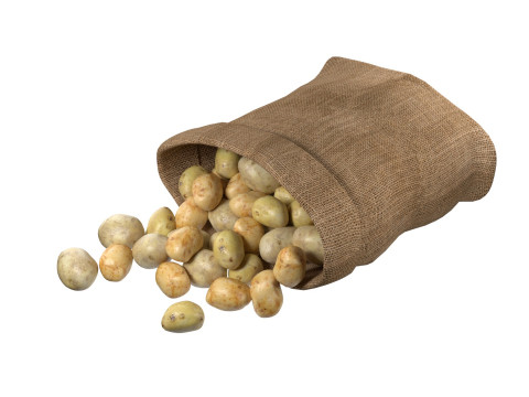 Potato sack Modelo 3D