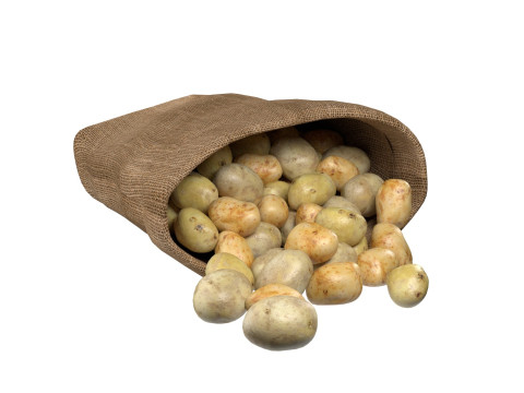 Potato sack Modelo 3D