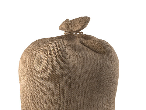 Sack 1 Modelo 3D