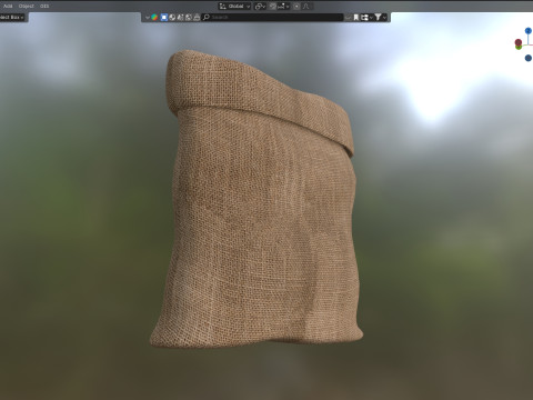 Sack 3 Model 3D