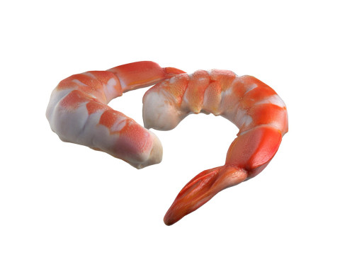Shrimp food Modèle 3D