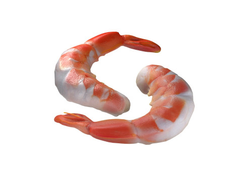 Shrimp food Modelo 3D