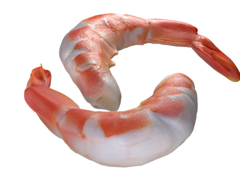 Comida de camar&atilde;o Modelo 3D