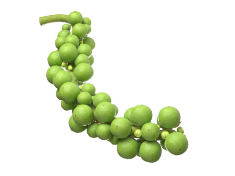 Fresh green peppercorn 3D Модель