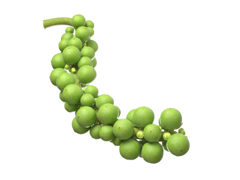 Fresh green peppercorn 3D Model