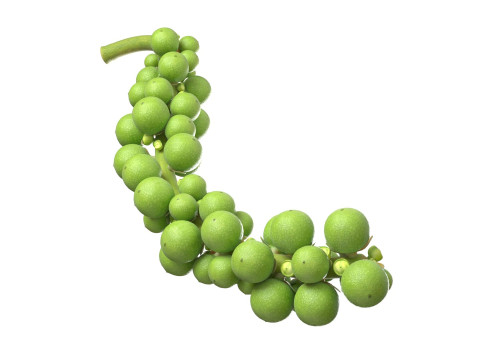 Fresh green peppercorn 3D Model