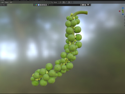 Fresh green peppercorn 3D Model