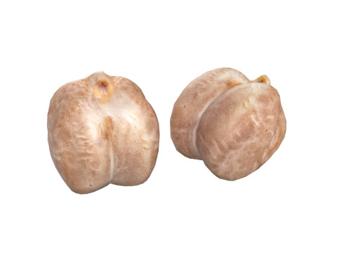 Garbanzo beans 3D Модель