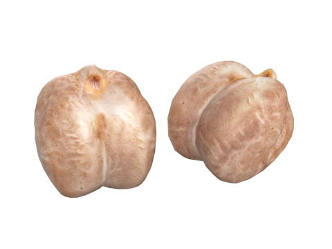 Garbanzo beans 3D Model