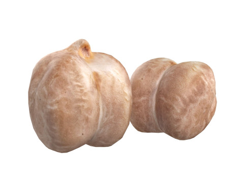 Garbanzo beans 3D Model