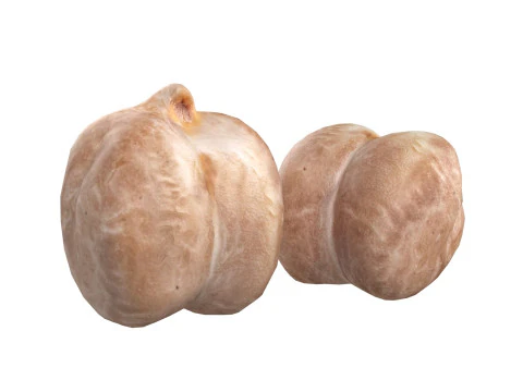 Garbanzo beans 3D Model