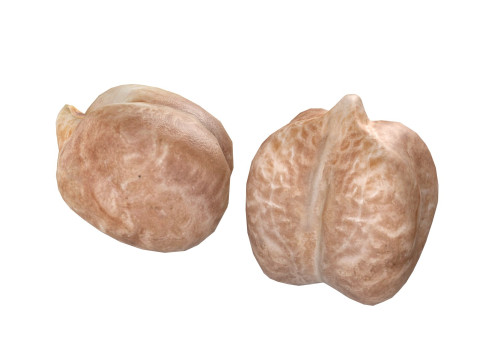 Garbanzo beans 3D Model