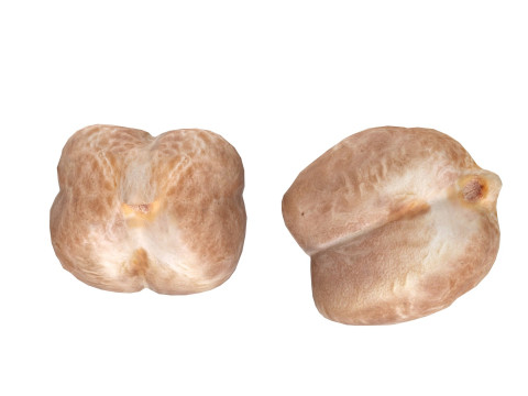 Garbanzo beans 3D Model