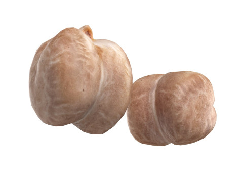 Garbanzo beans 3D Model