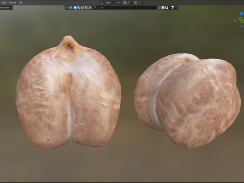 Garbanzo beans 3D Model