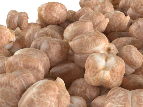 Garbanzo chickpea bowl Modelo 3D