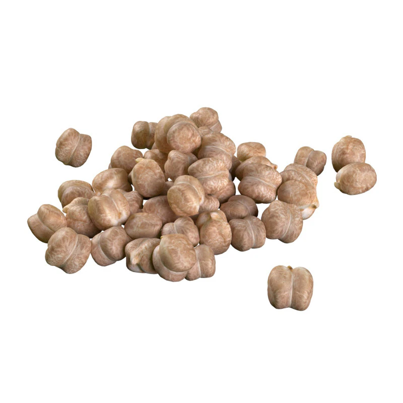 Garbanzo chickpea pile 3D Model .c4d .max .obj .3ds .fbx .stl .blend 