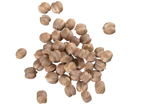 Garbanzo chickpea pile 3D 模型