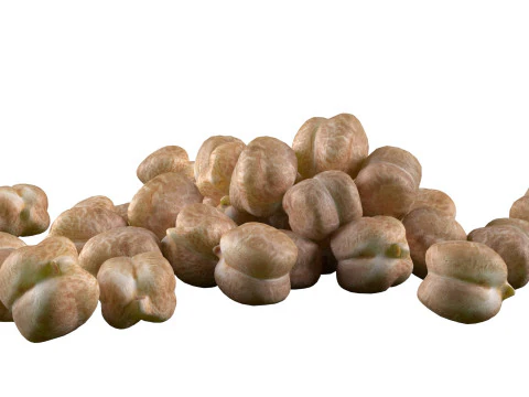 Garbanzo chickpea pile 3D Model