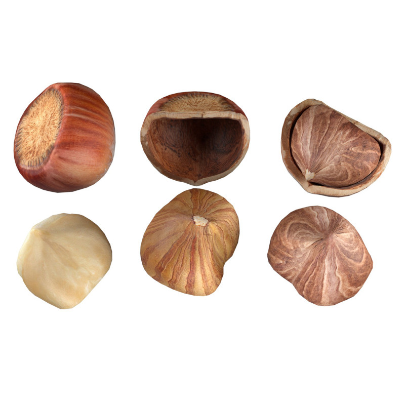 Hazelnut collection Modelo 3D .c4d .max .obj .3ds .fbx .stl .blend